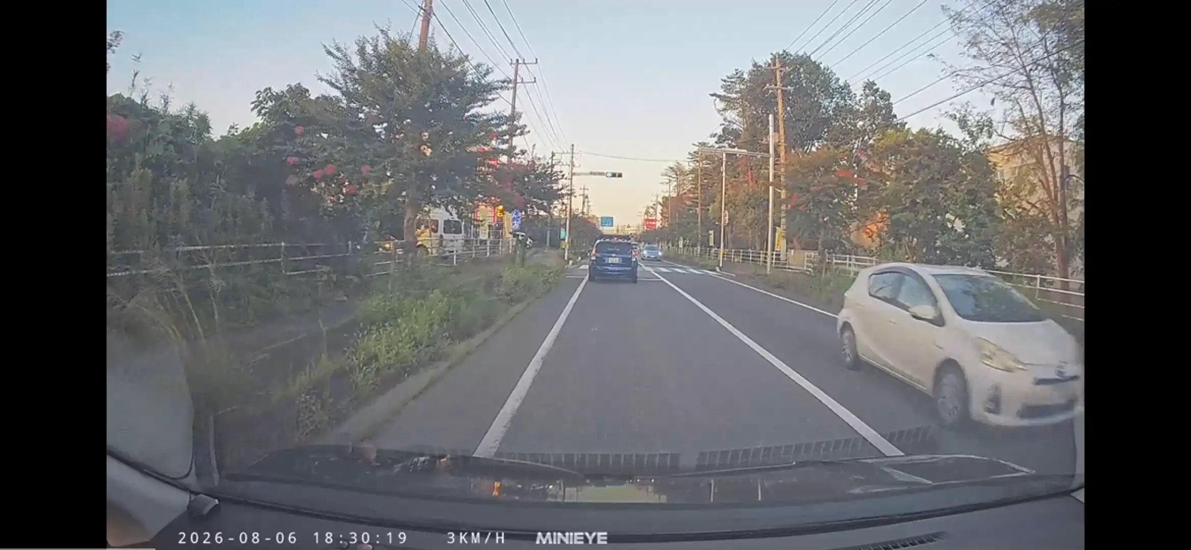歩道の雑草
