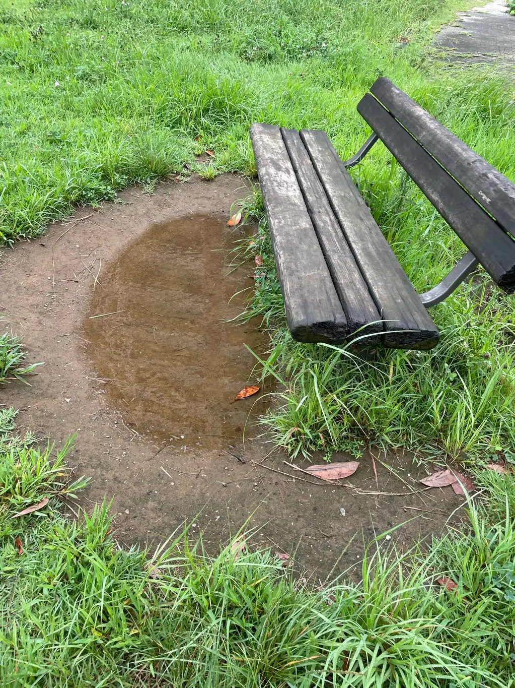 公園のくぼみ