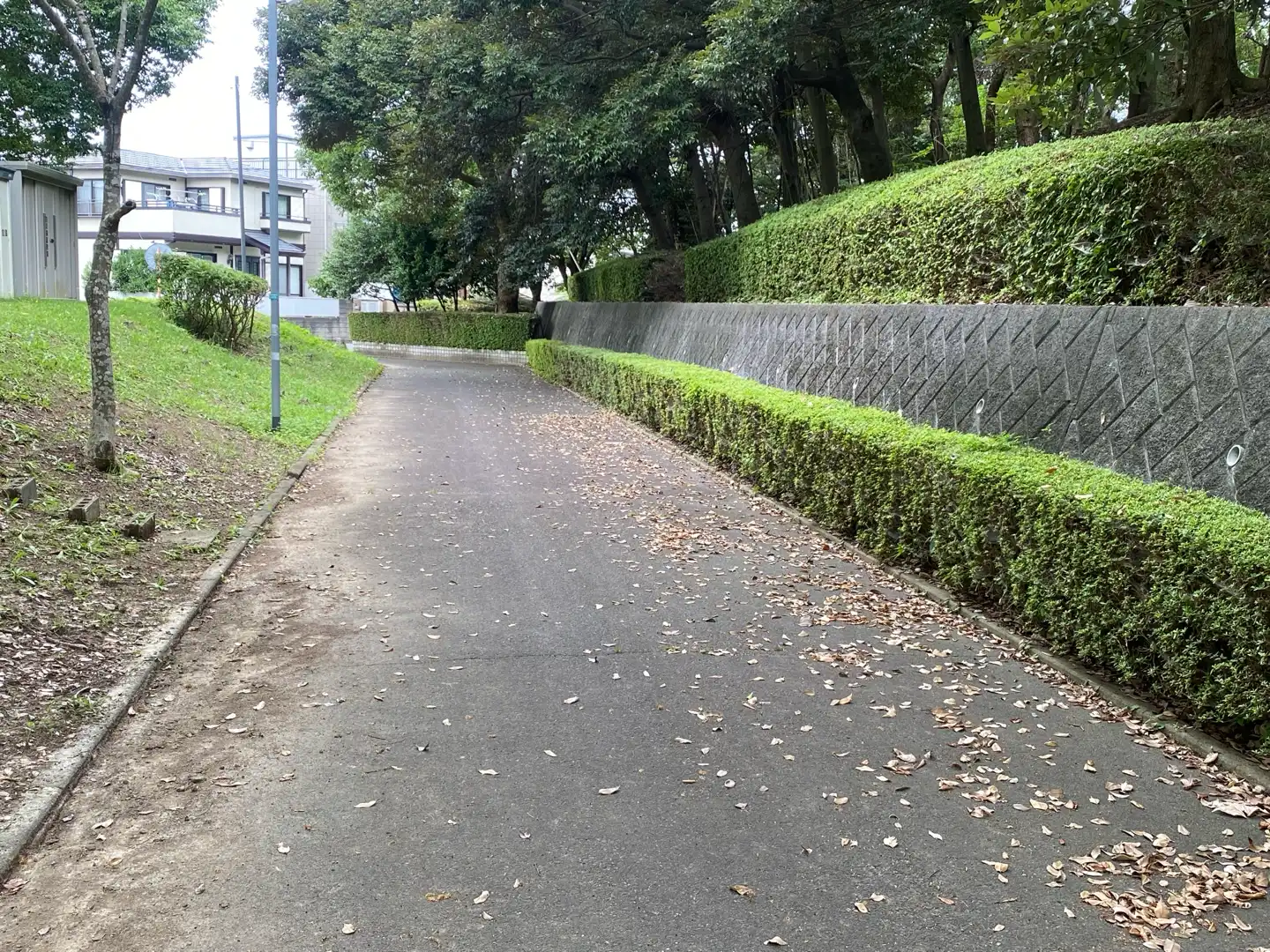 スズメバチ🐝の巣駆除願い