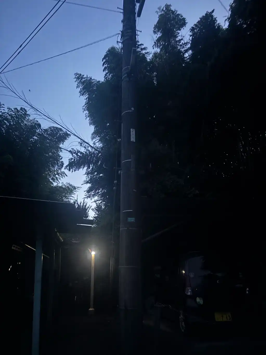 緊急 再度報告