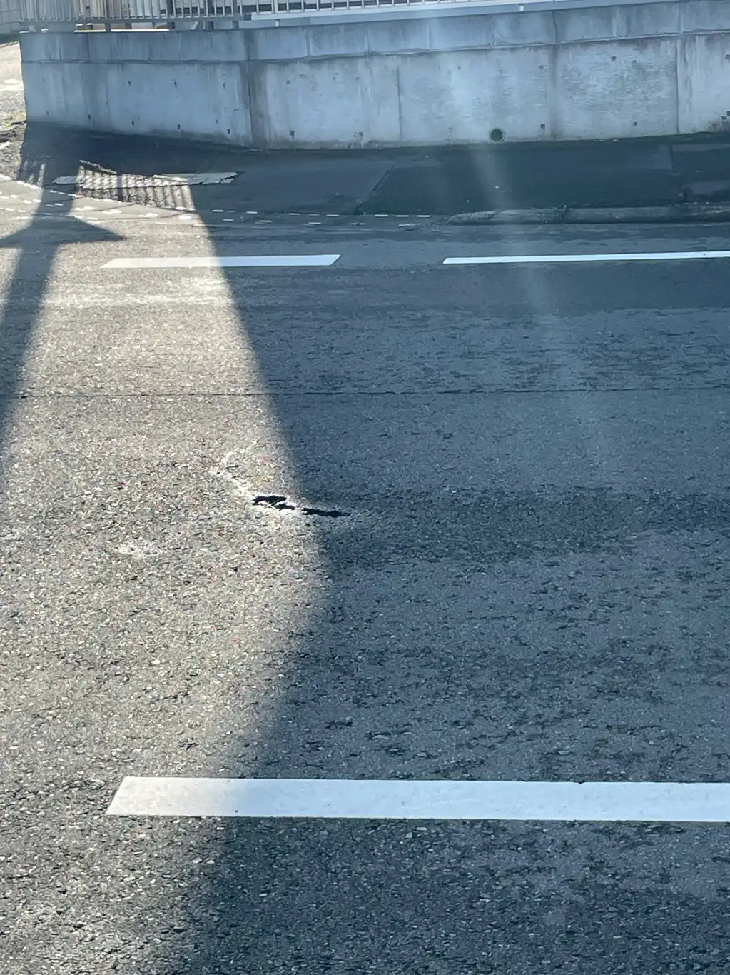 アスファルト内にゴムバンドの異物