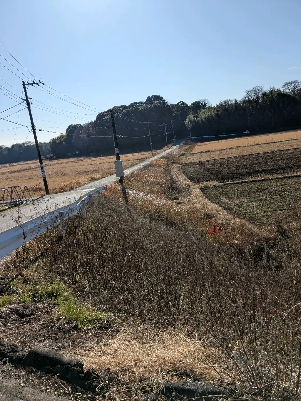 守谷市道路肩法面の除草について