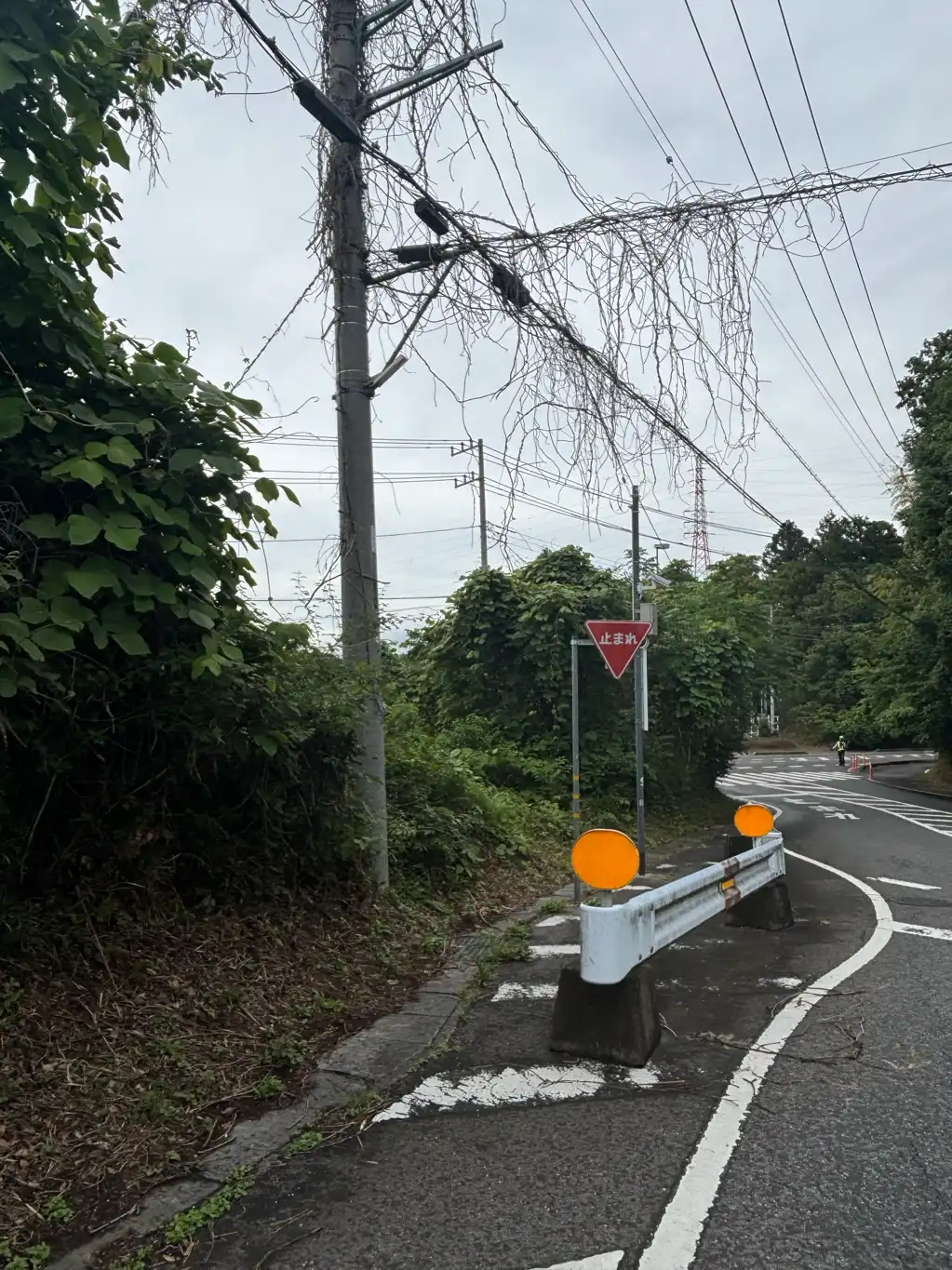 防犯灯が消えている