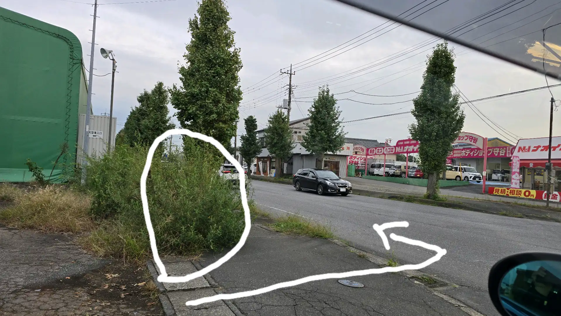 歩行者、自転車が雑草で見えない