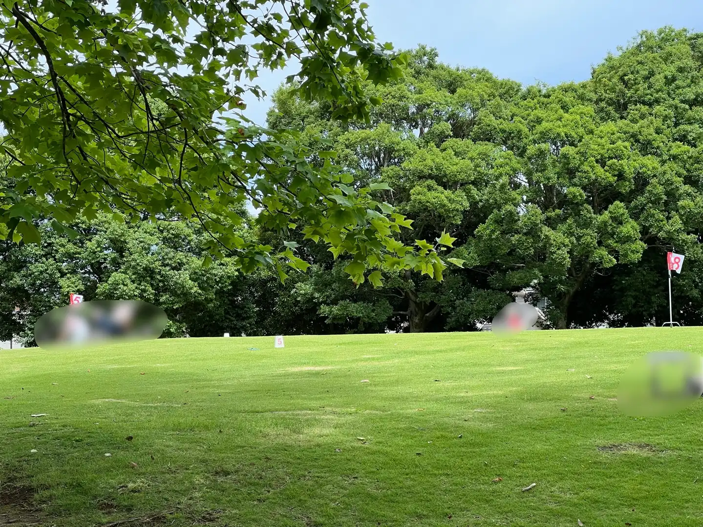公園の占有