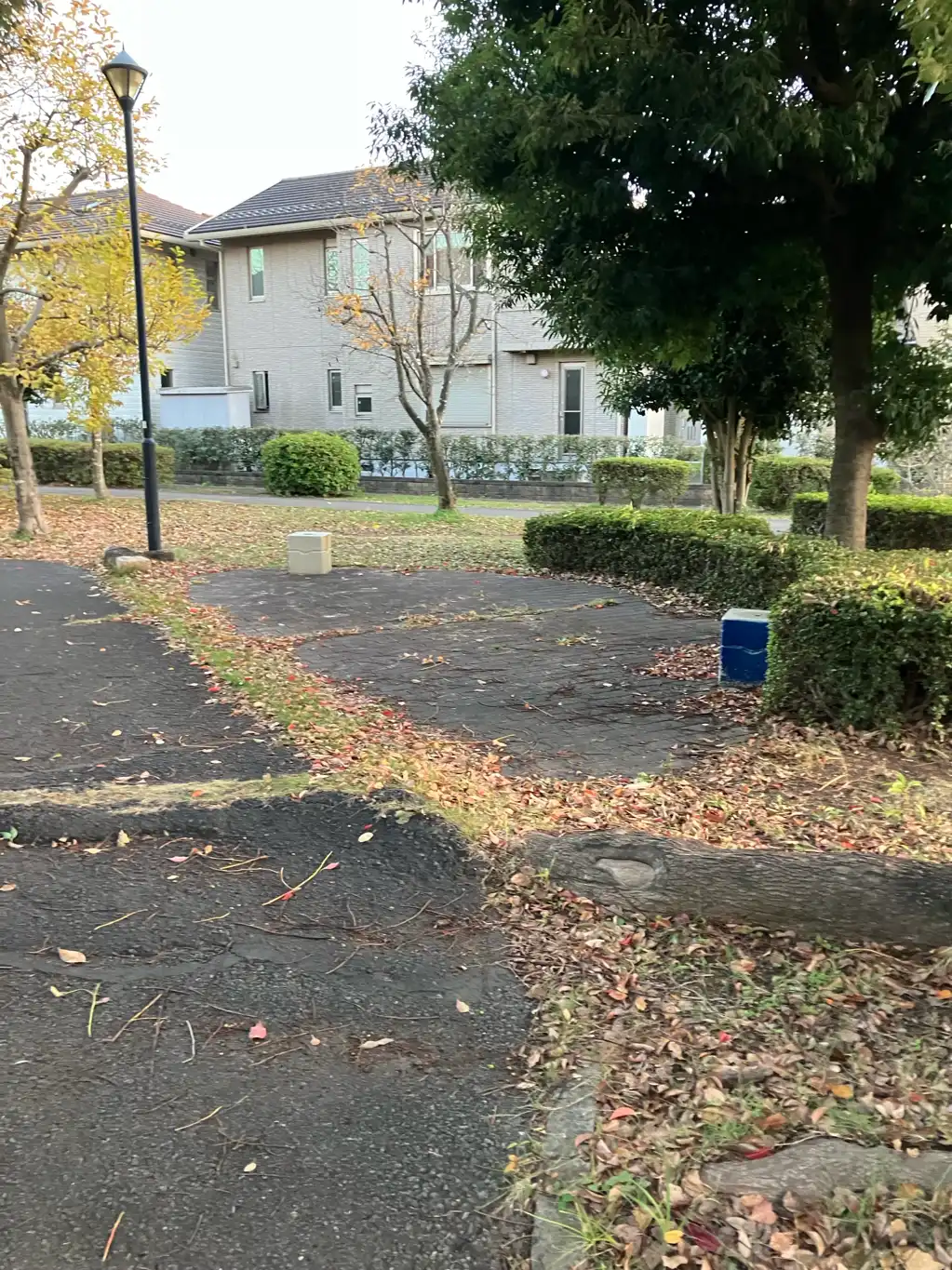 遊歩道の椅子に水が溜まりボウフラが湧いていました
