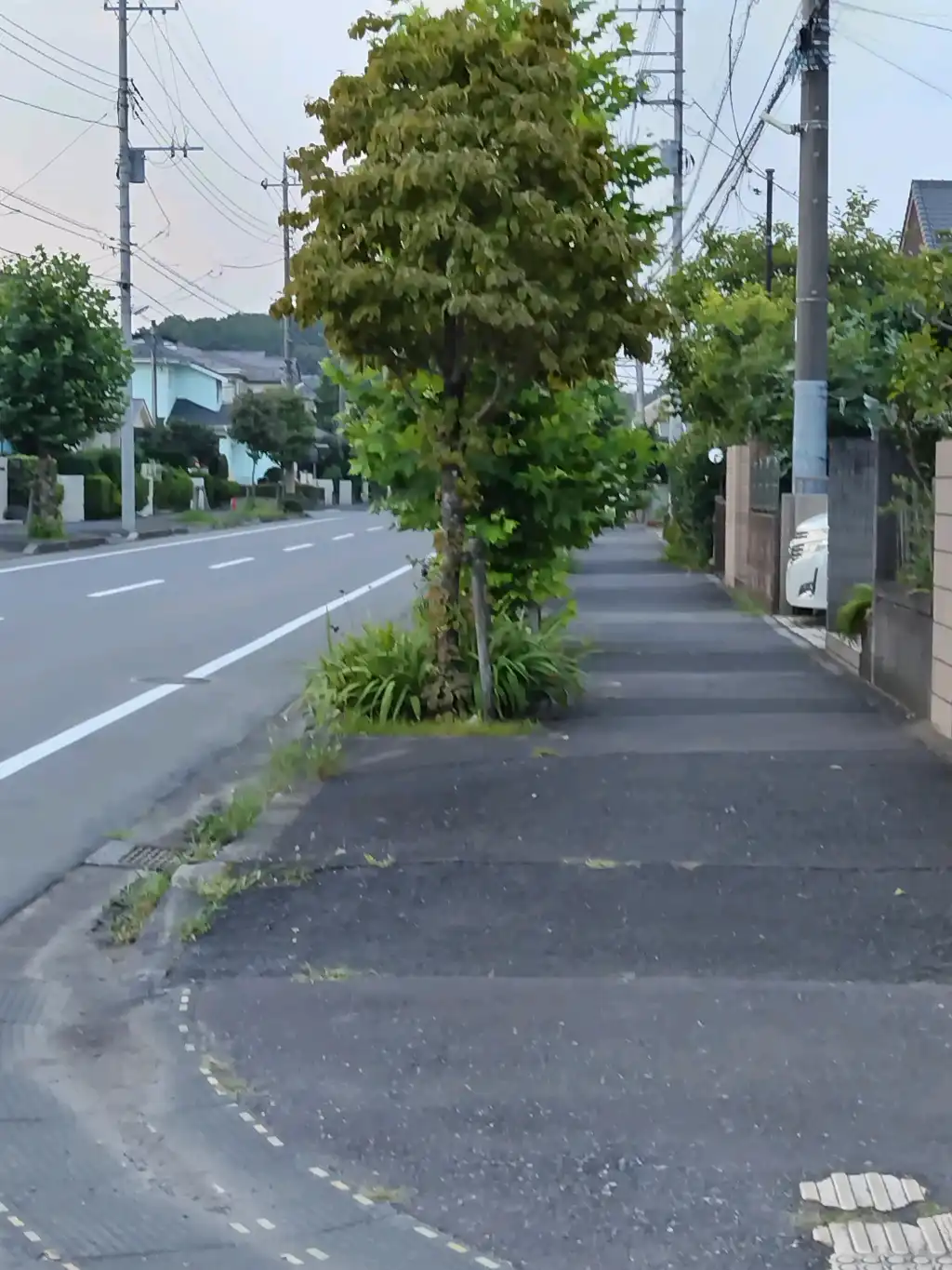 見にくい