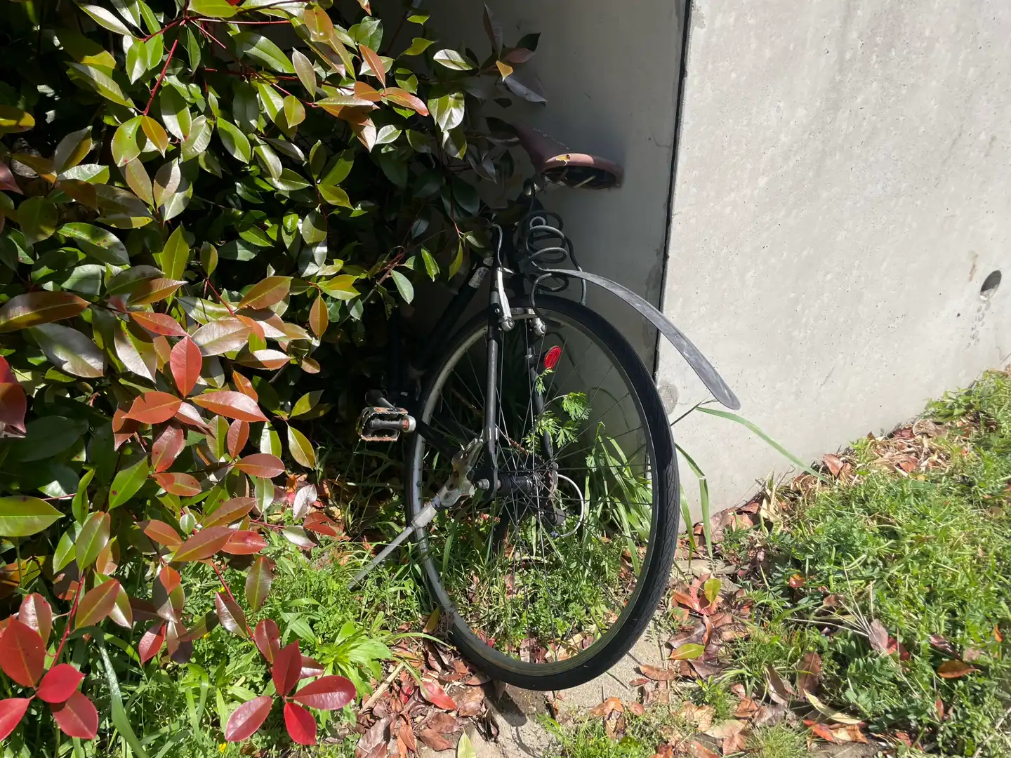 放置自転車