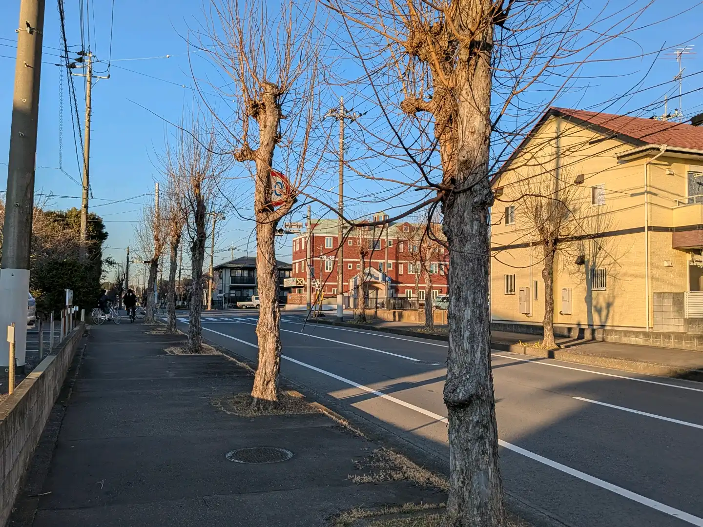 街路樹の枝の張出し