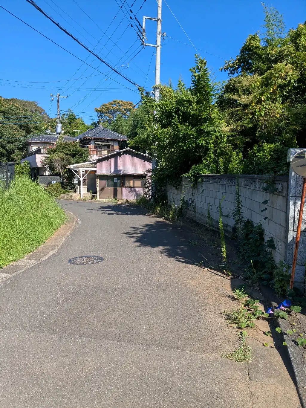 市道路側の雑草伐採