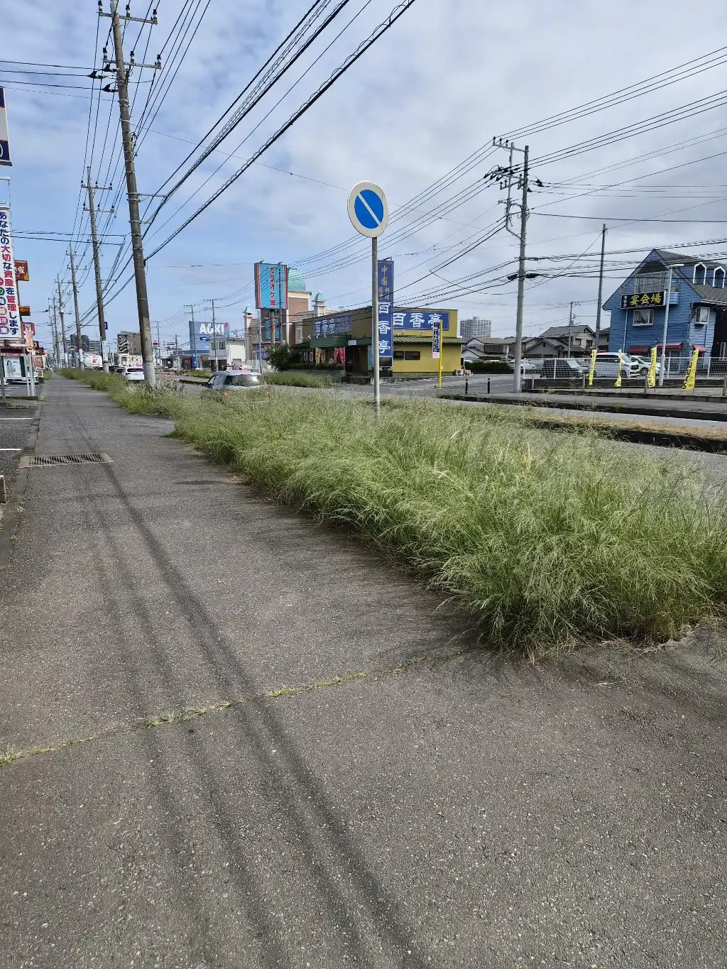 歩道の雑草が酷いです