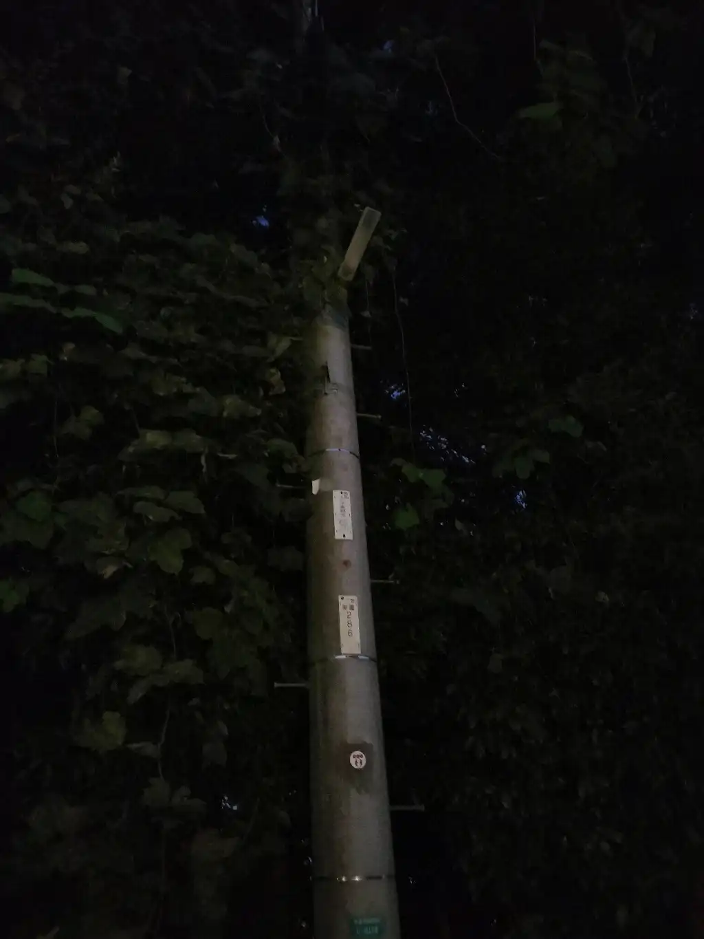 街灯のLED切れ
