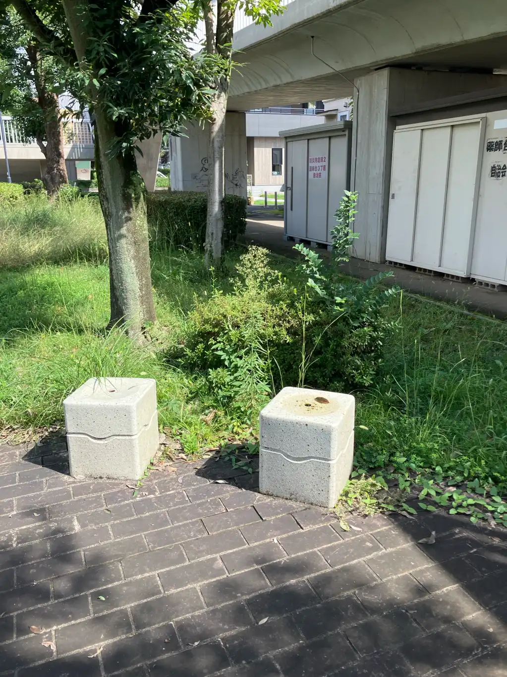 遊歩道の椅子に水が溜まってボウフラが湧きます