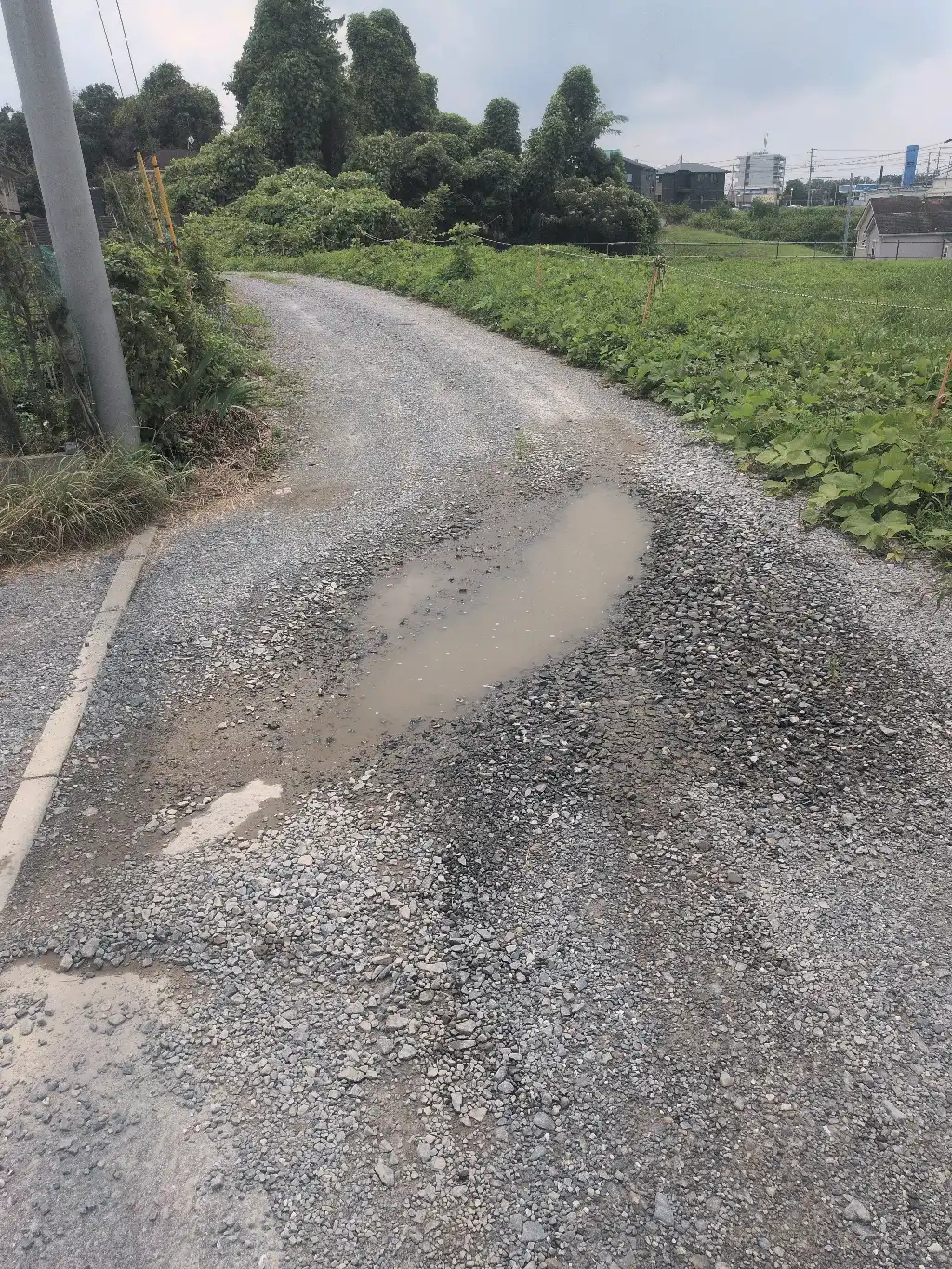轍を埋めてください