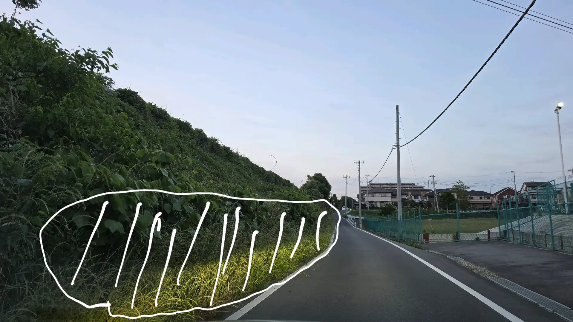 雑草除去と側溝蓋の確認(修繕)
