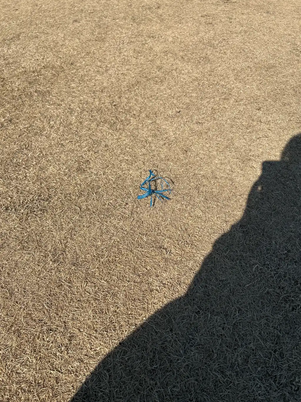 芝生の中のマーカーについて