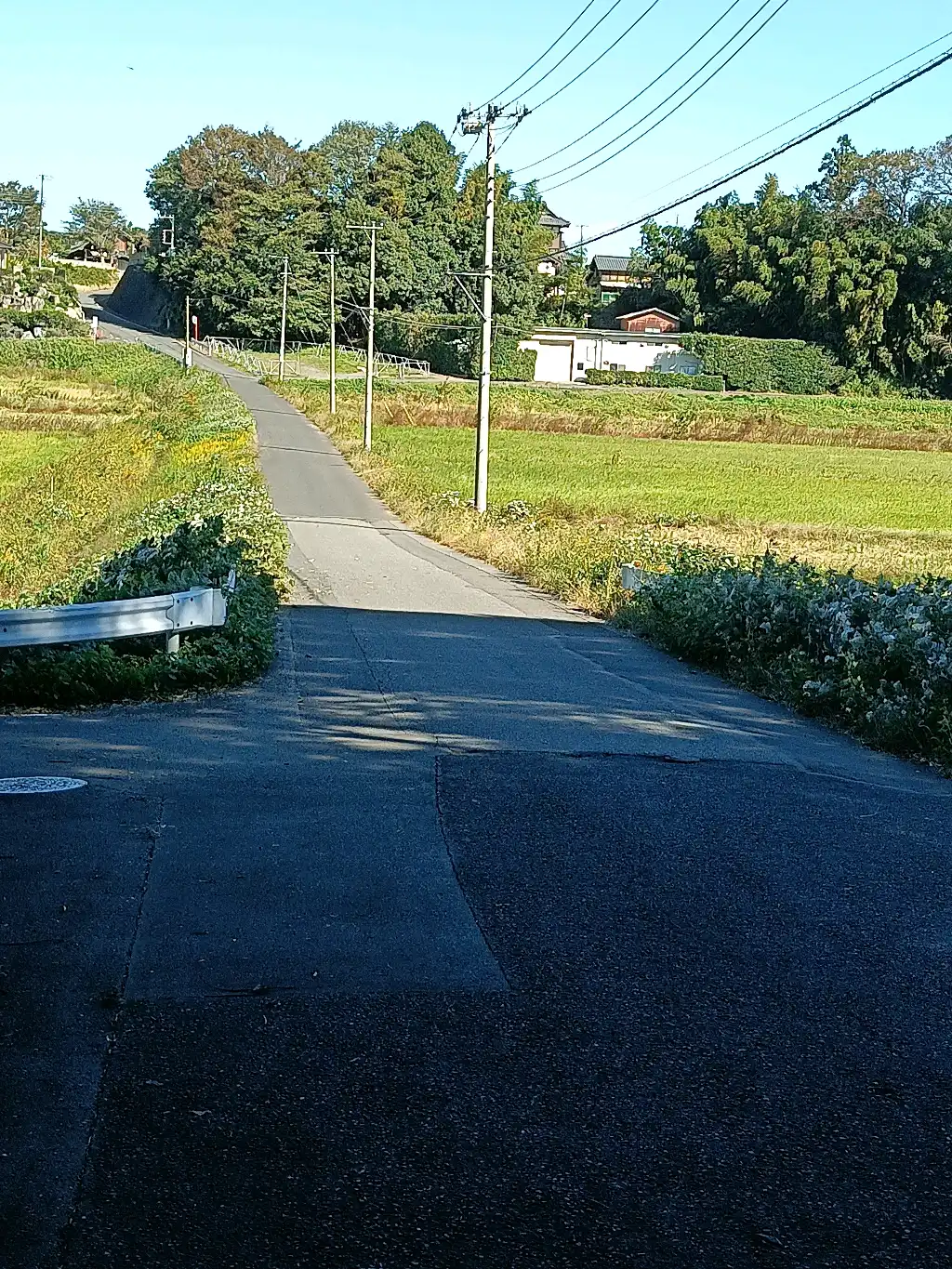 市道路肩の雑草の草刈り要望