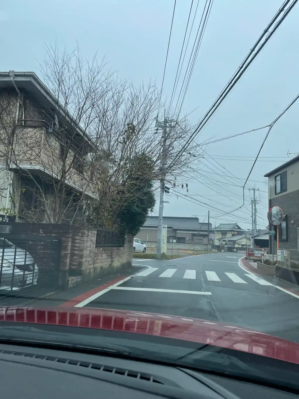 道路上への枝の張り出し