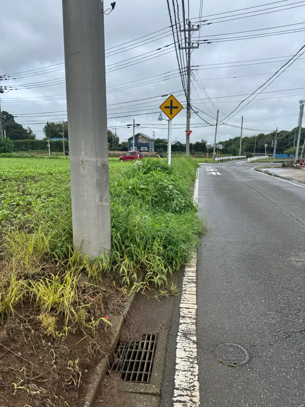 路側帯の草刈のお願い