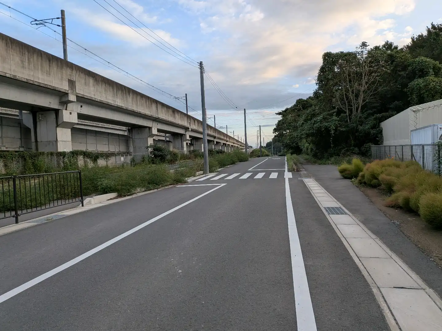 道路の草木はみ出しについて