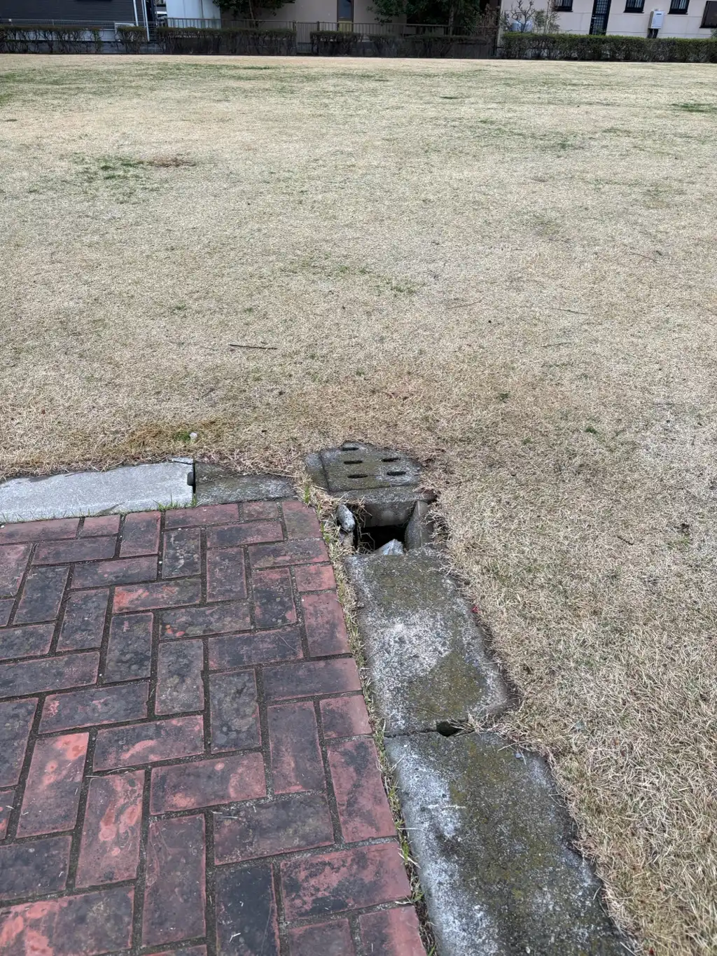 ５号緑地内側溝割れ