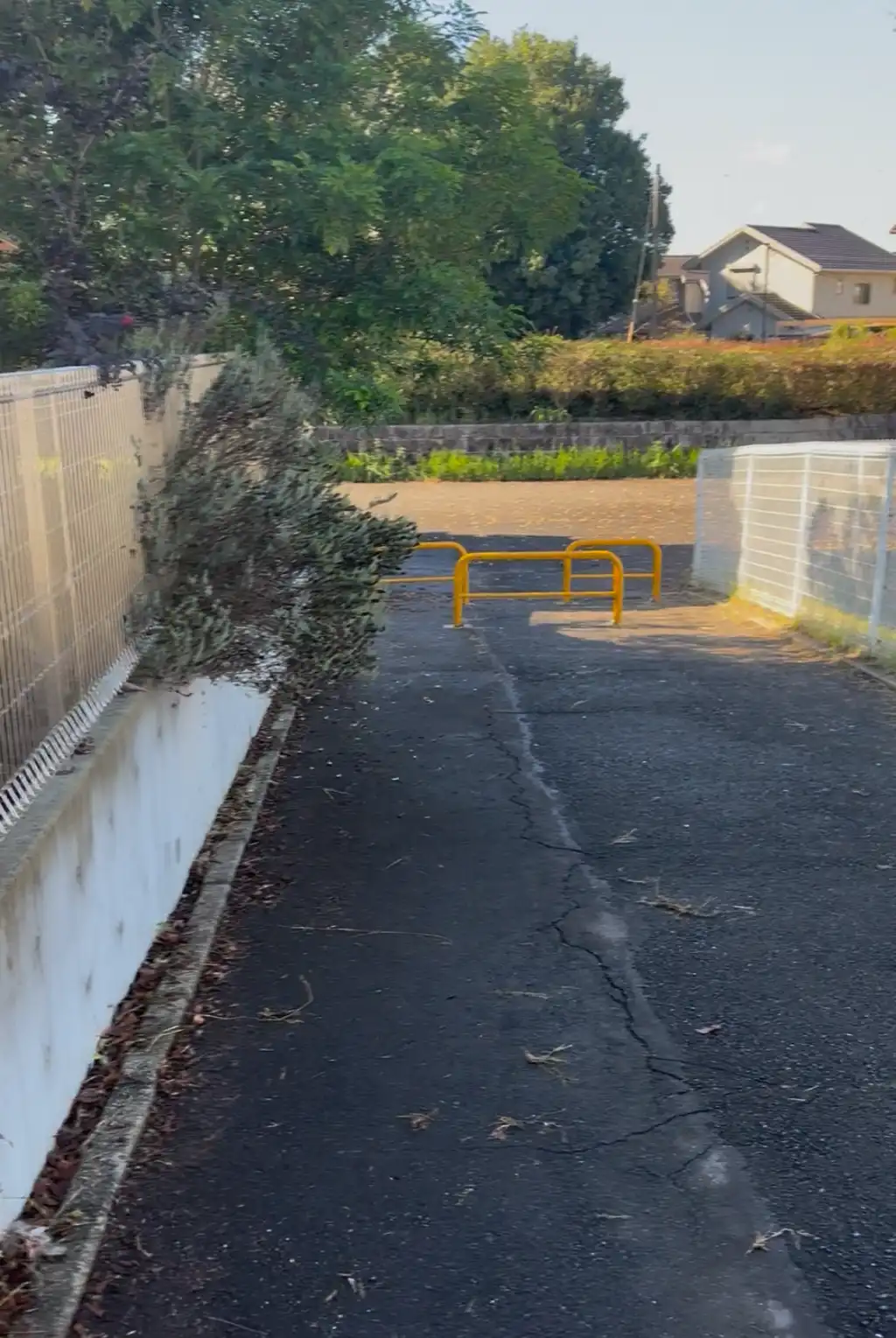 植栽のはみ出しが危険
