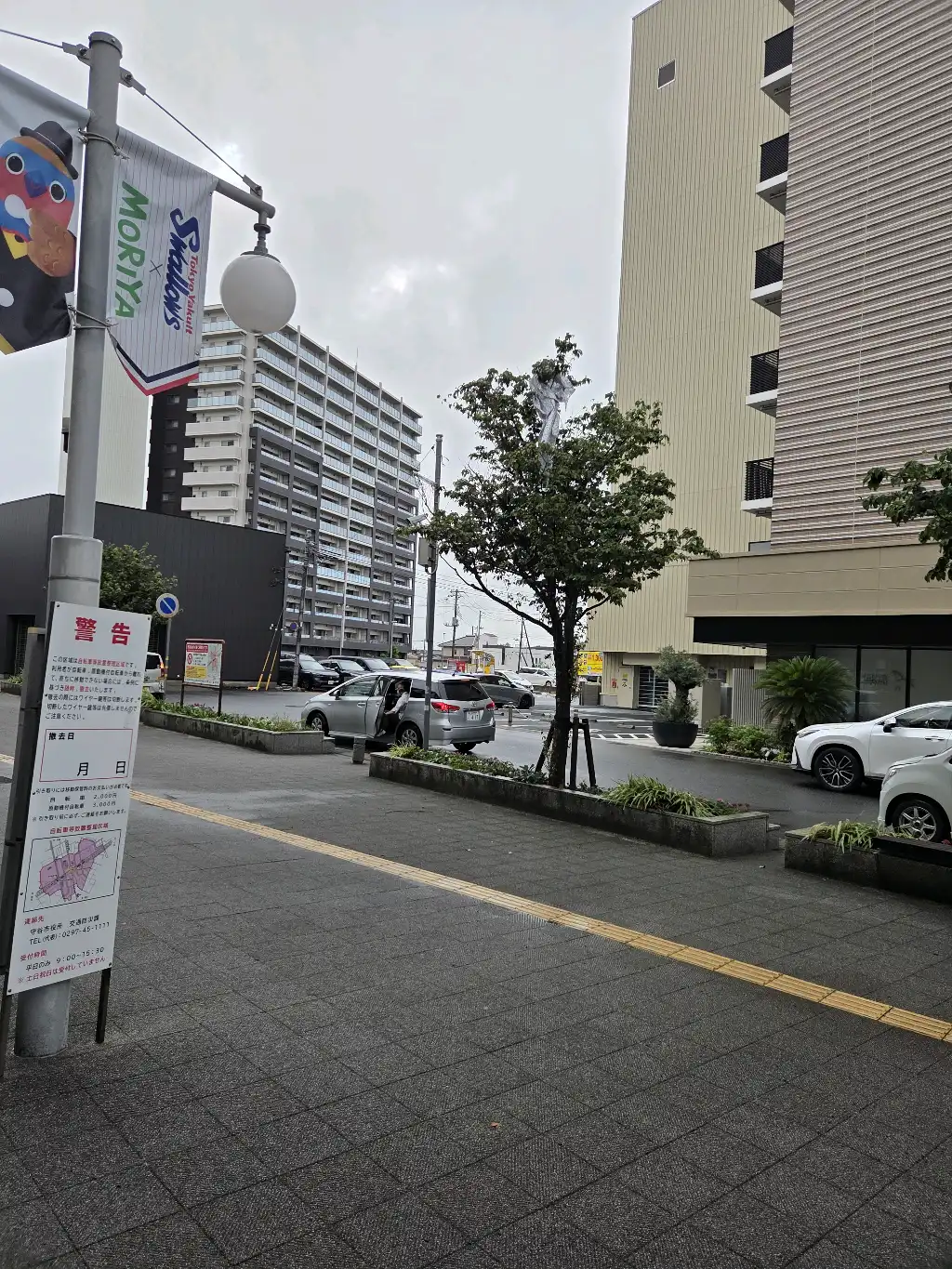 木にビニールがかかっています。