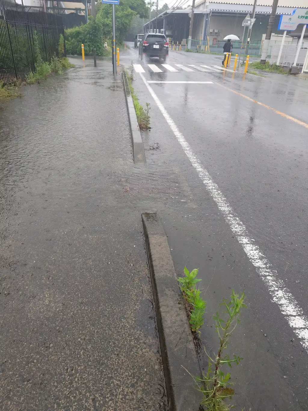 排水口が塞がっている