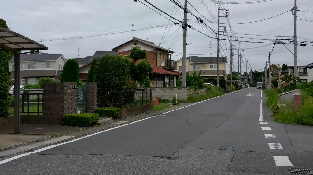 路側帯に草がでている。