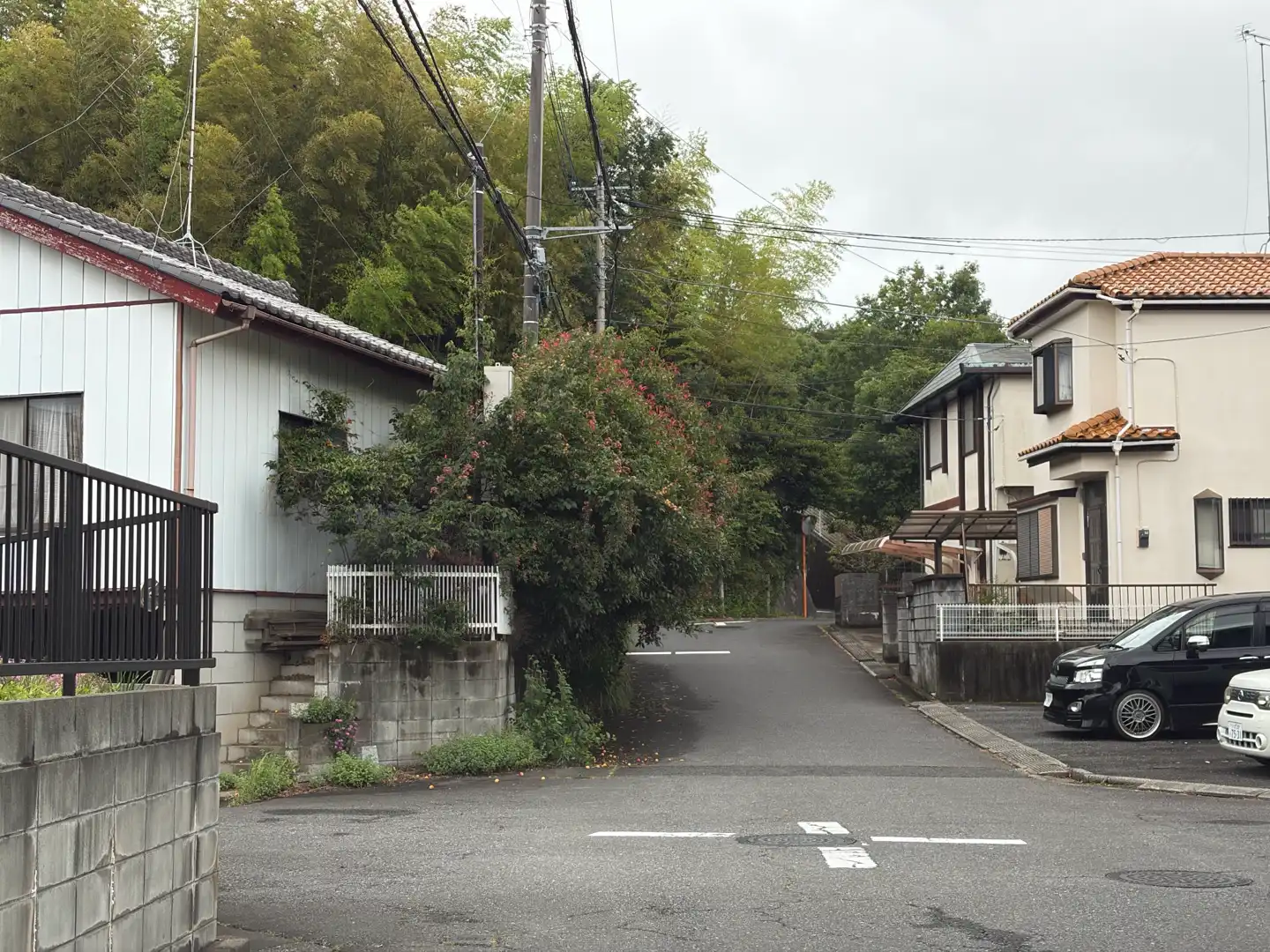 庭木が道路に大きくはみ出して交通の妨げになっています