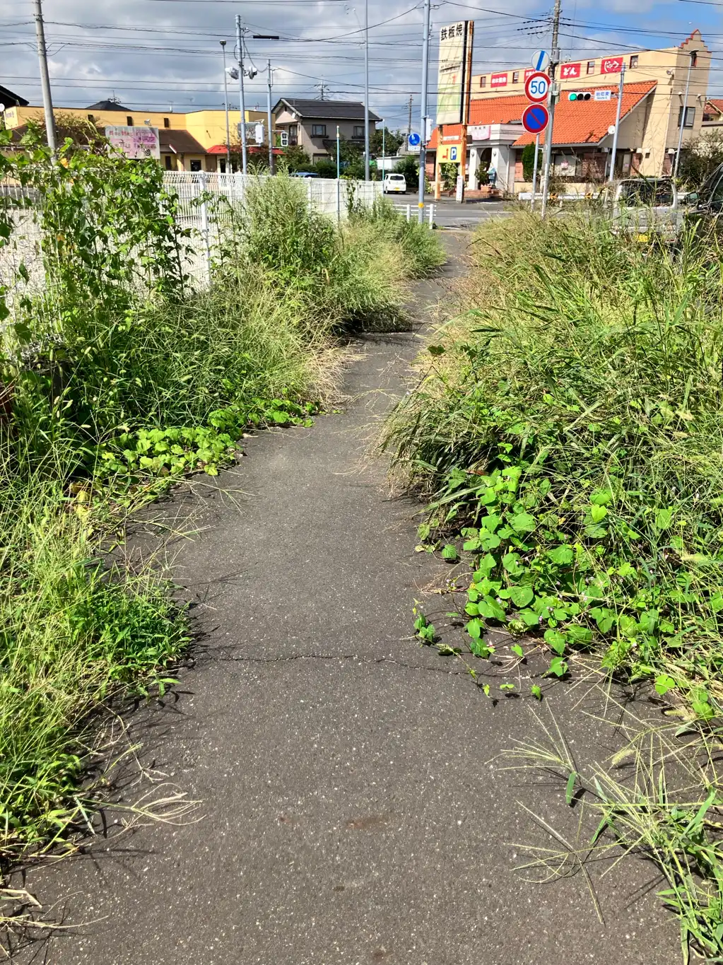 歩道が雑草で覆われています