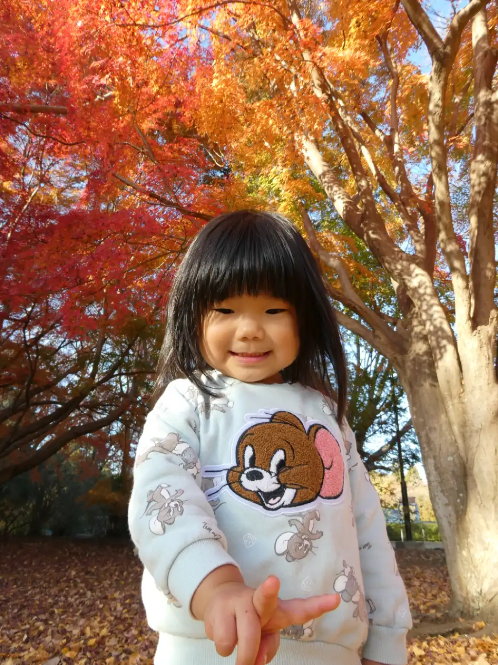 真っ赤な秋、みいつけた