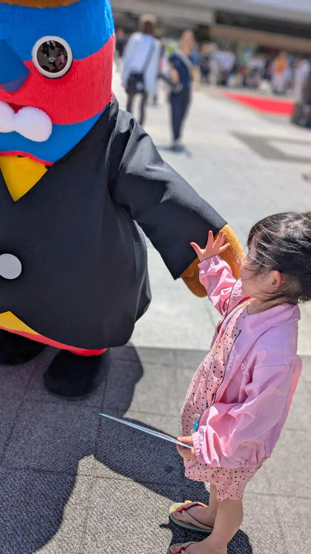 こじゅまるとタッチ