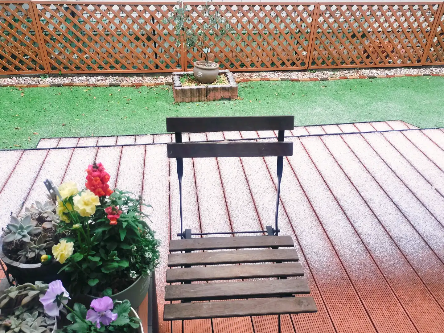 凍える寒さ～朝の庭～