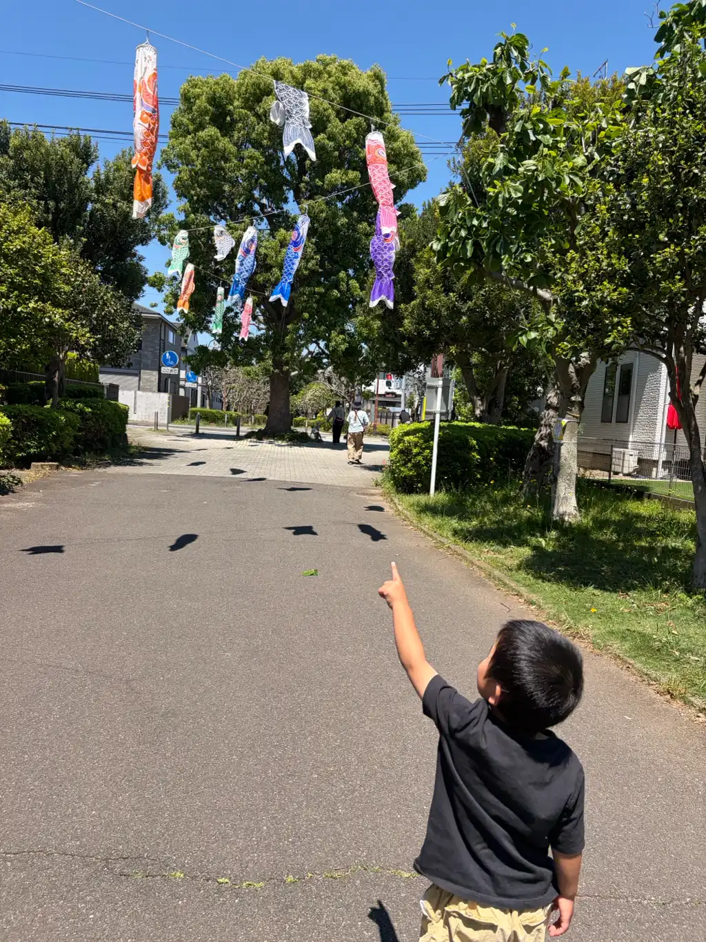 鯉のぼり🎏