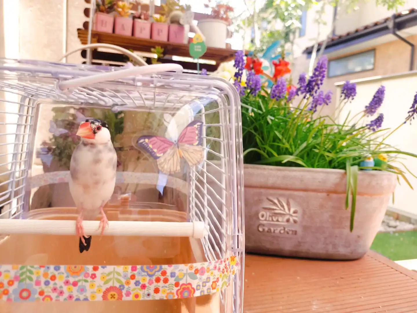 春の日向ぼっこ