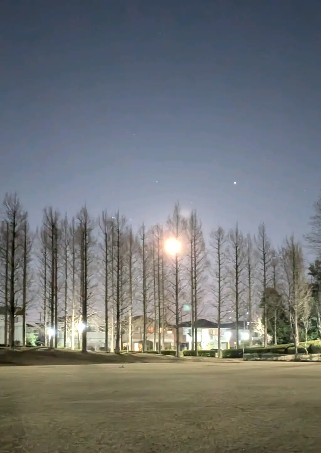 月冴え冴えと輝く