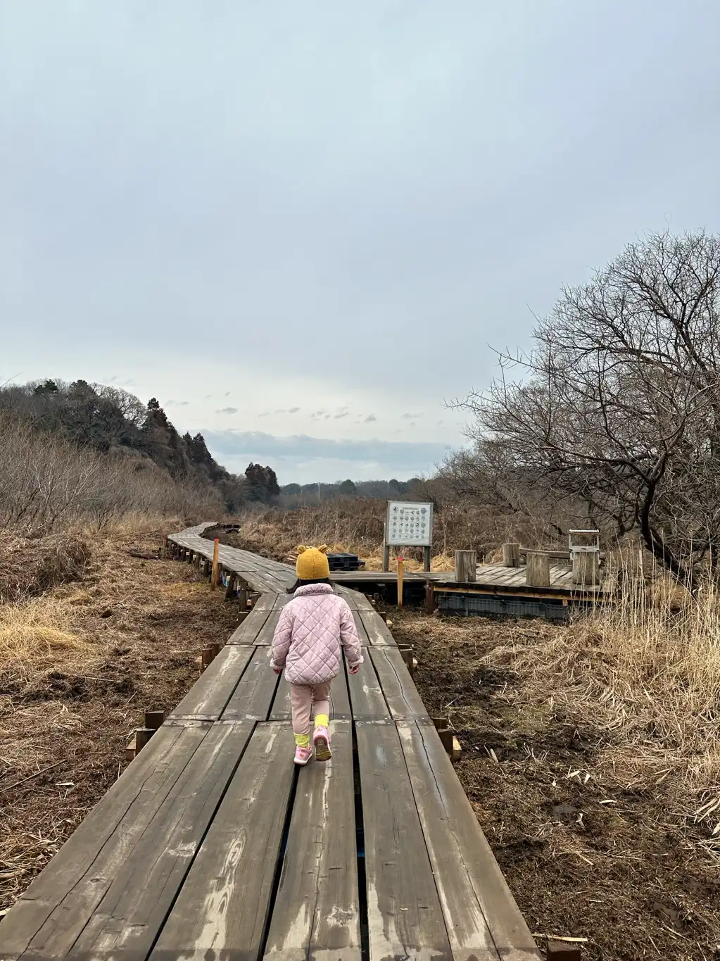 野鳥のみち冒険中