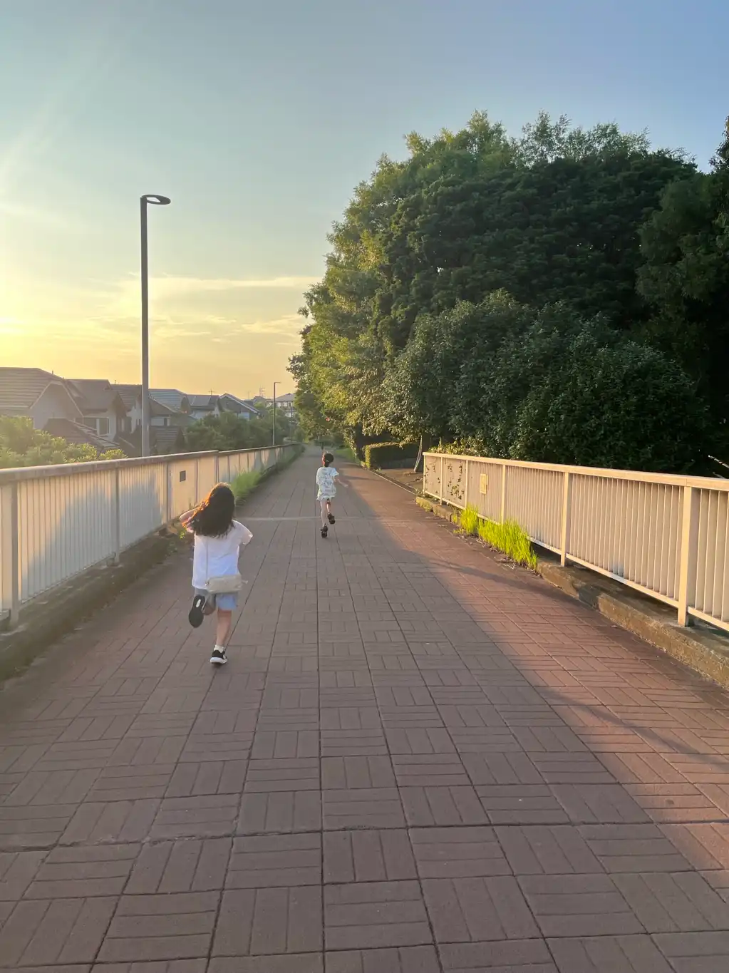 夕方の散歩
