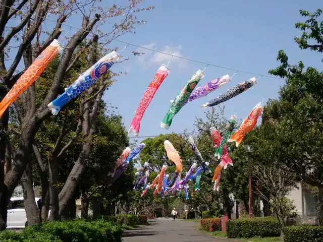 風薫る