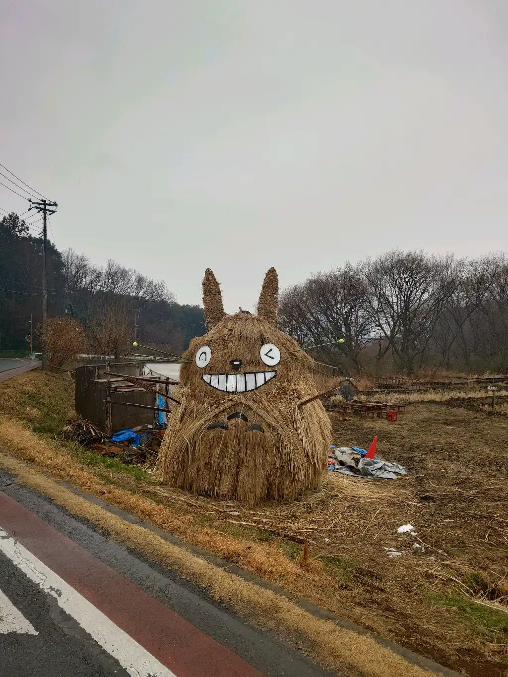 トトロに会っちゃった