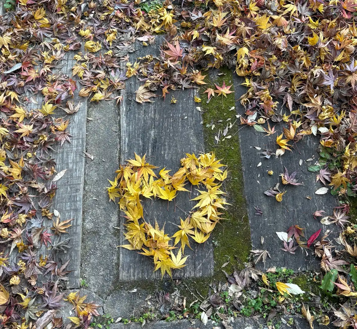 落ち葉のハート💛