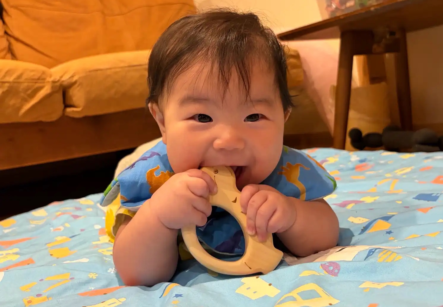 コジュケイのおもちゃと♪