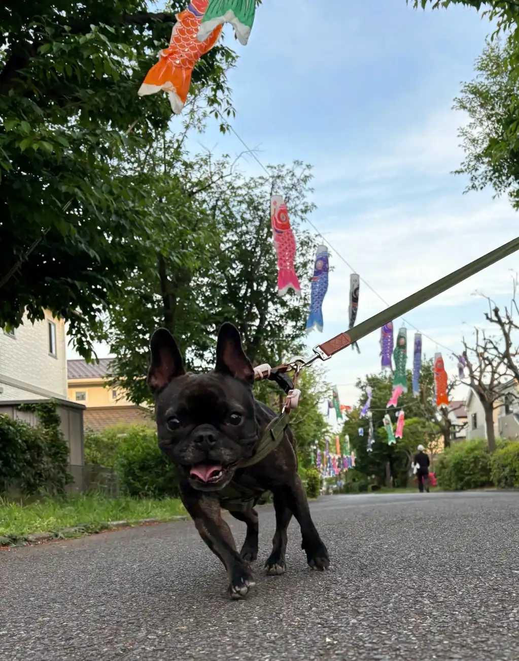 おさんぽコース🐾
