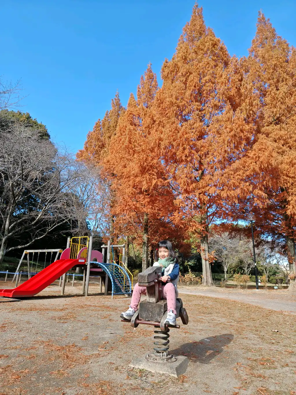 秋の四季の里公園