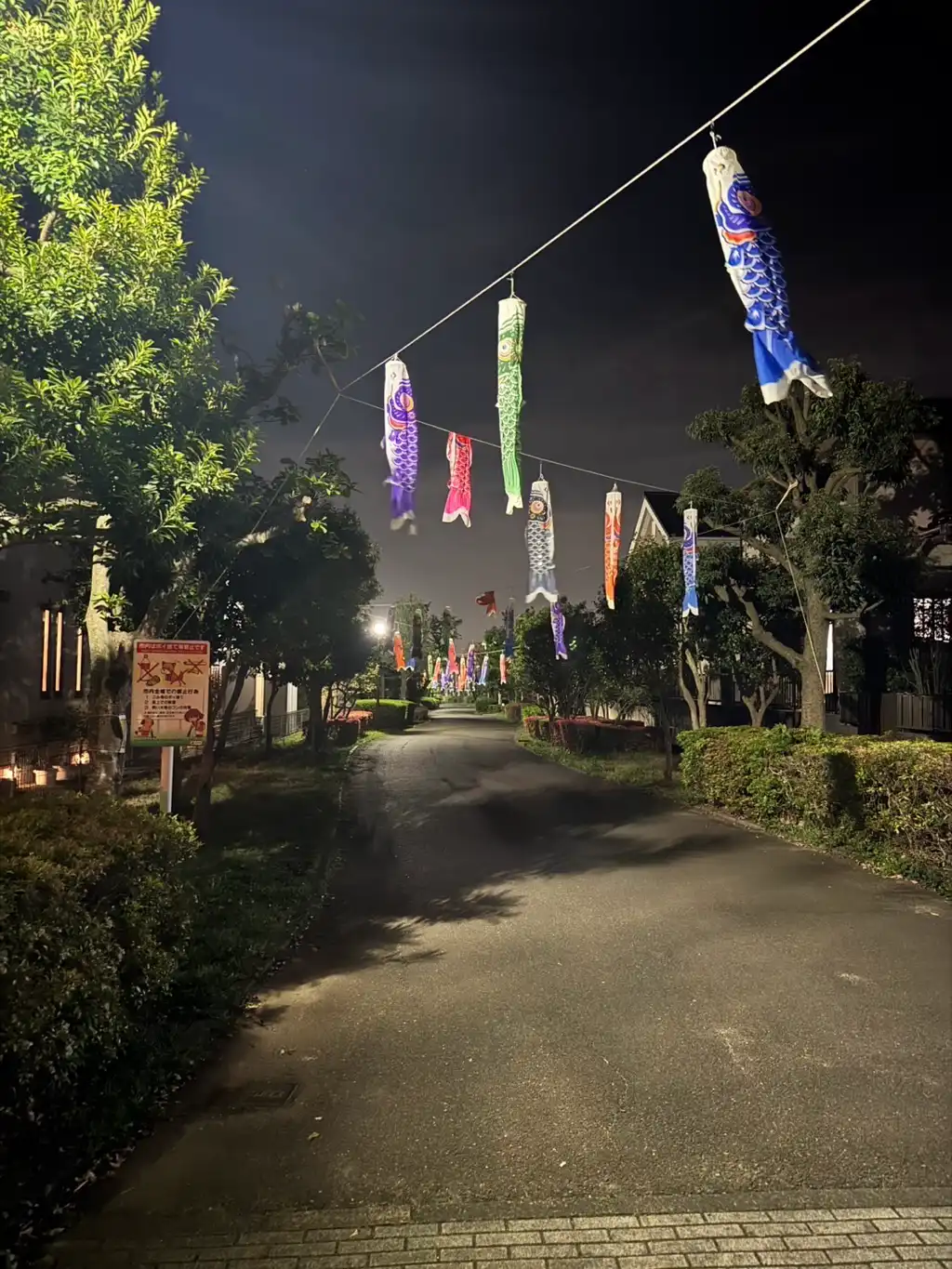 夜の鯉のぼり