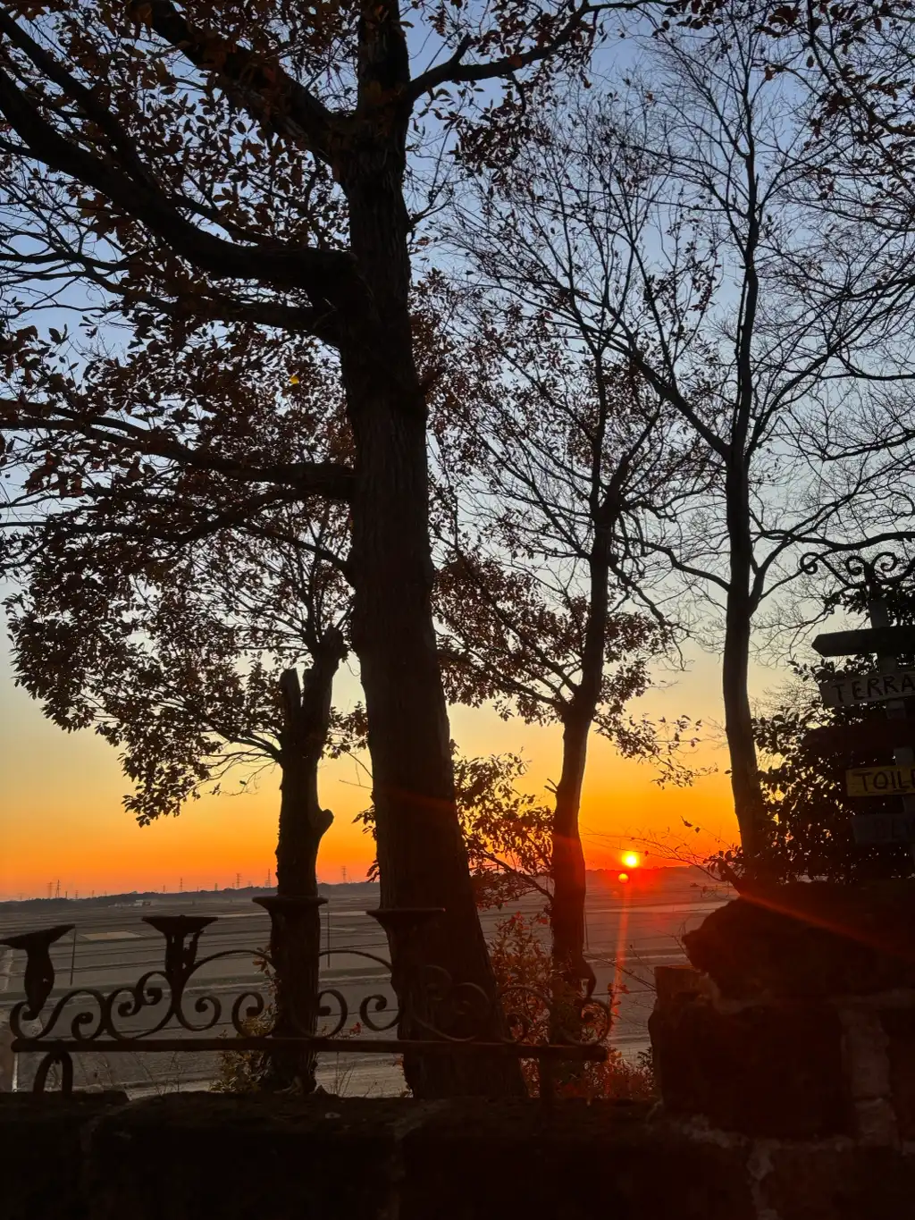 夕焼けのガーデン