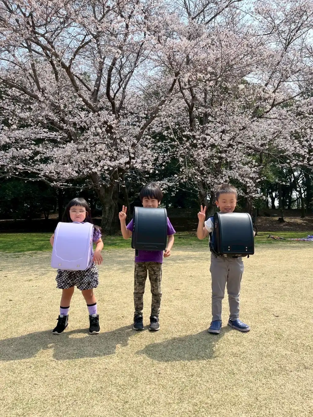 見て見て！