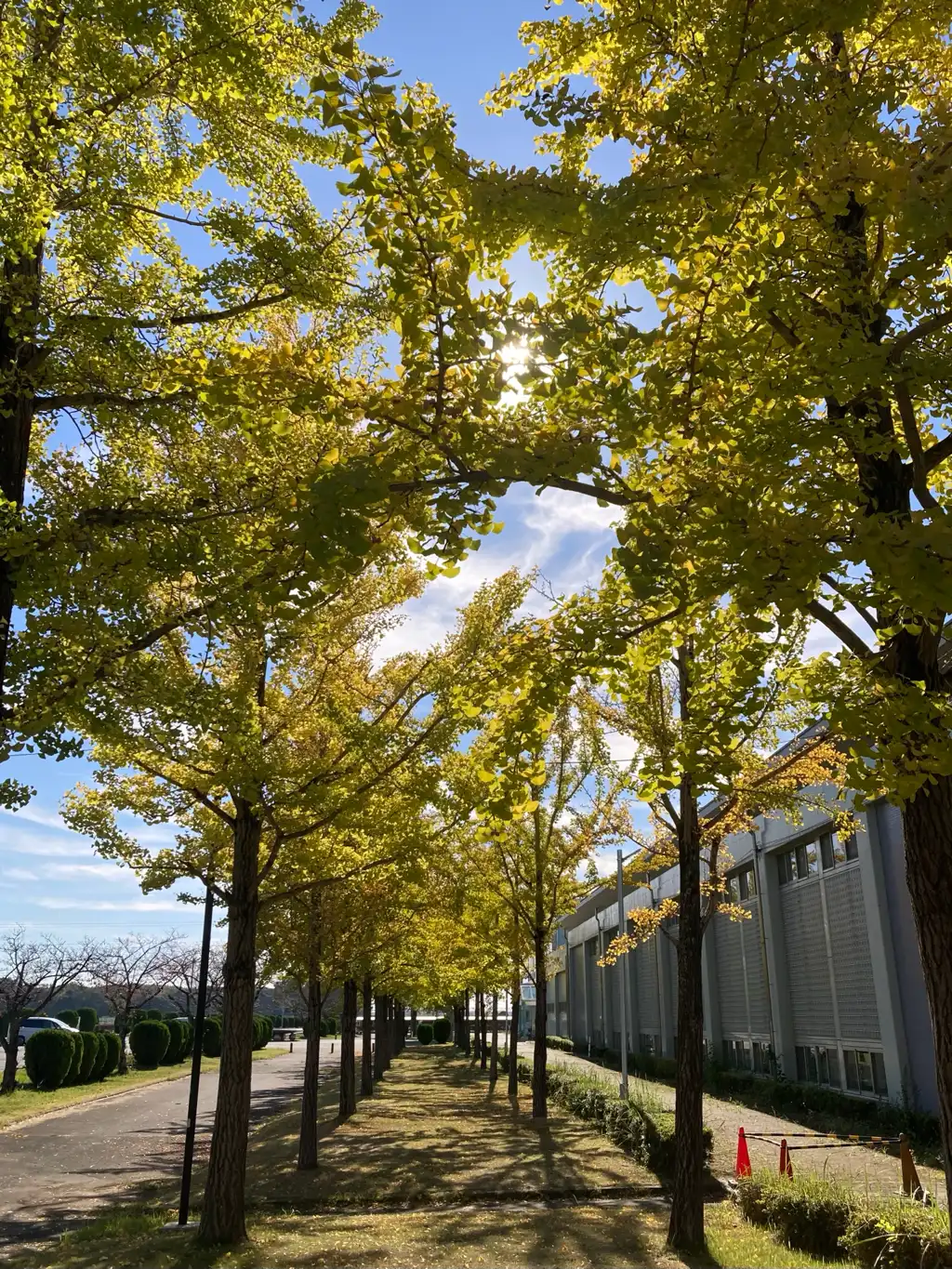 子どもの頃よく来ていた思い出の場所へ