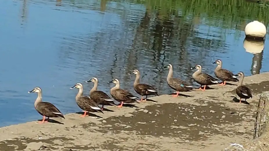 ハイ、位置について！ヨーイ・・